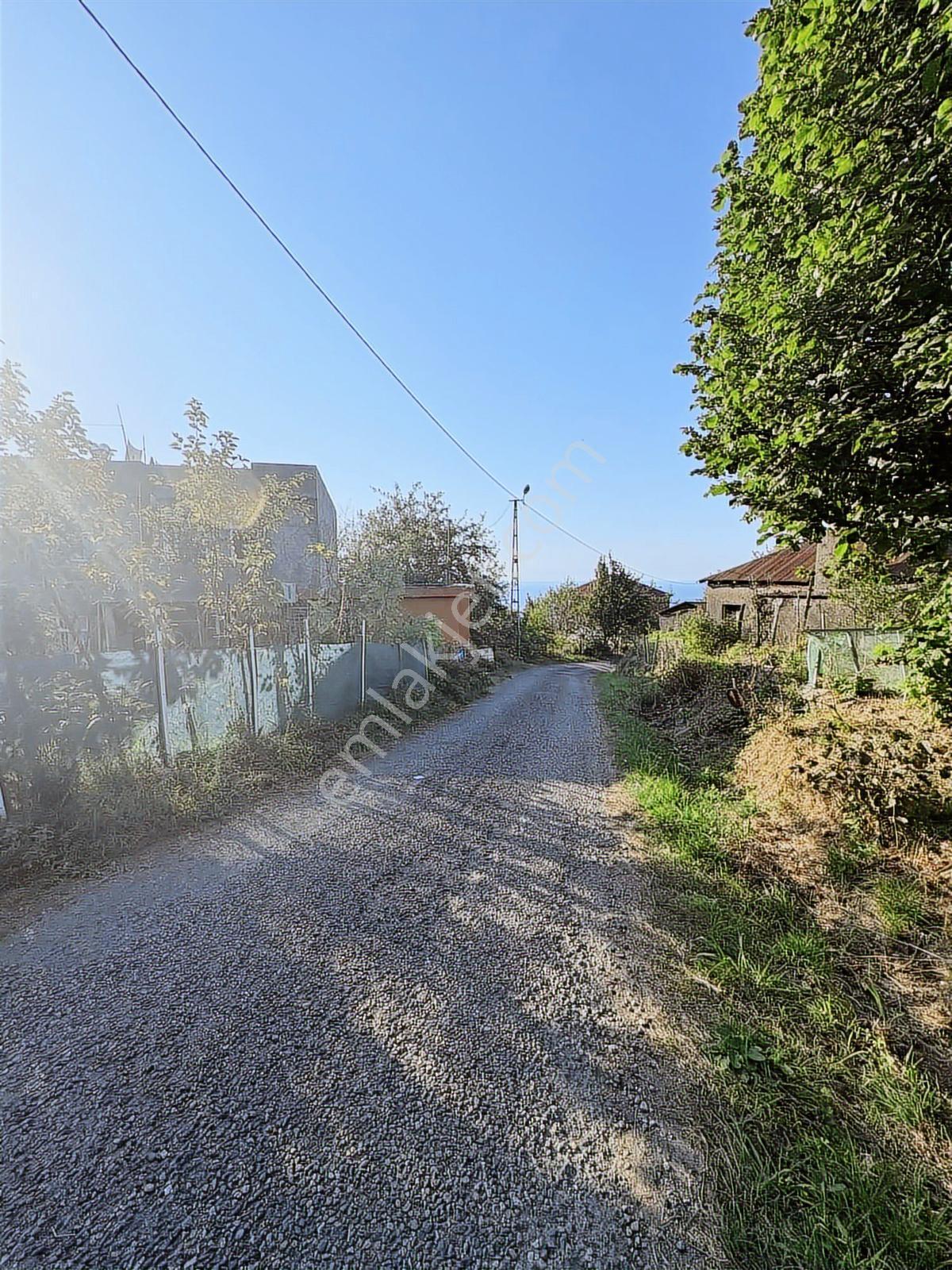 Giresun Görele Karaburunda Ev Ve Fındık Bahçesi - Görsel 6