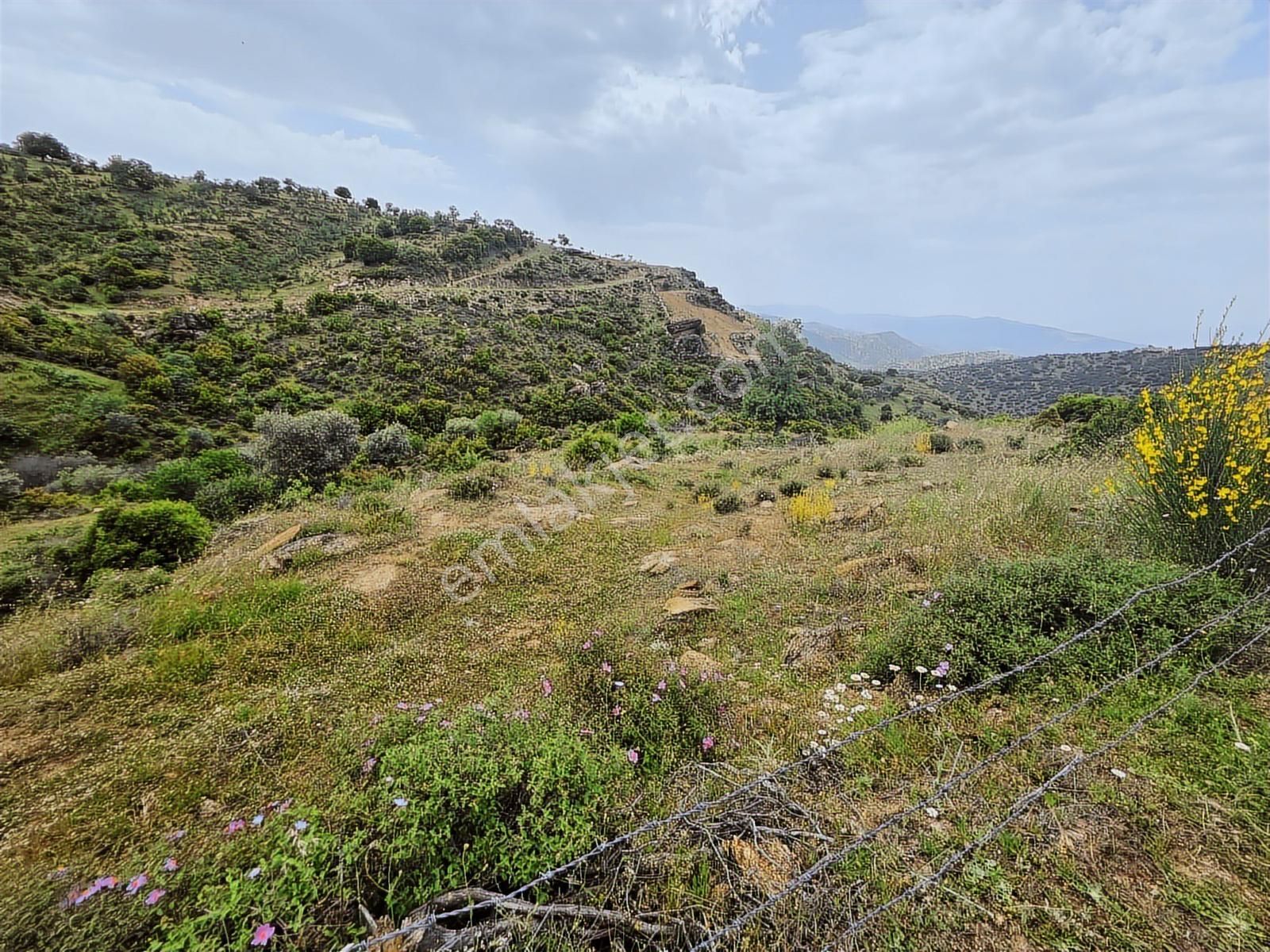 Century21 Işıltı'dan Yenipazar'da Ekime Hazır Verimli Arazi