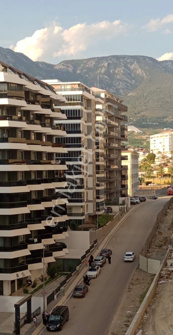 Yekta Trade Satılık Eşyalı 1+1 - Görsel 17