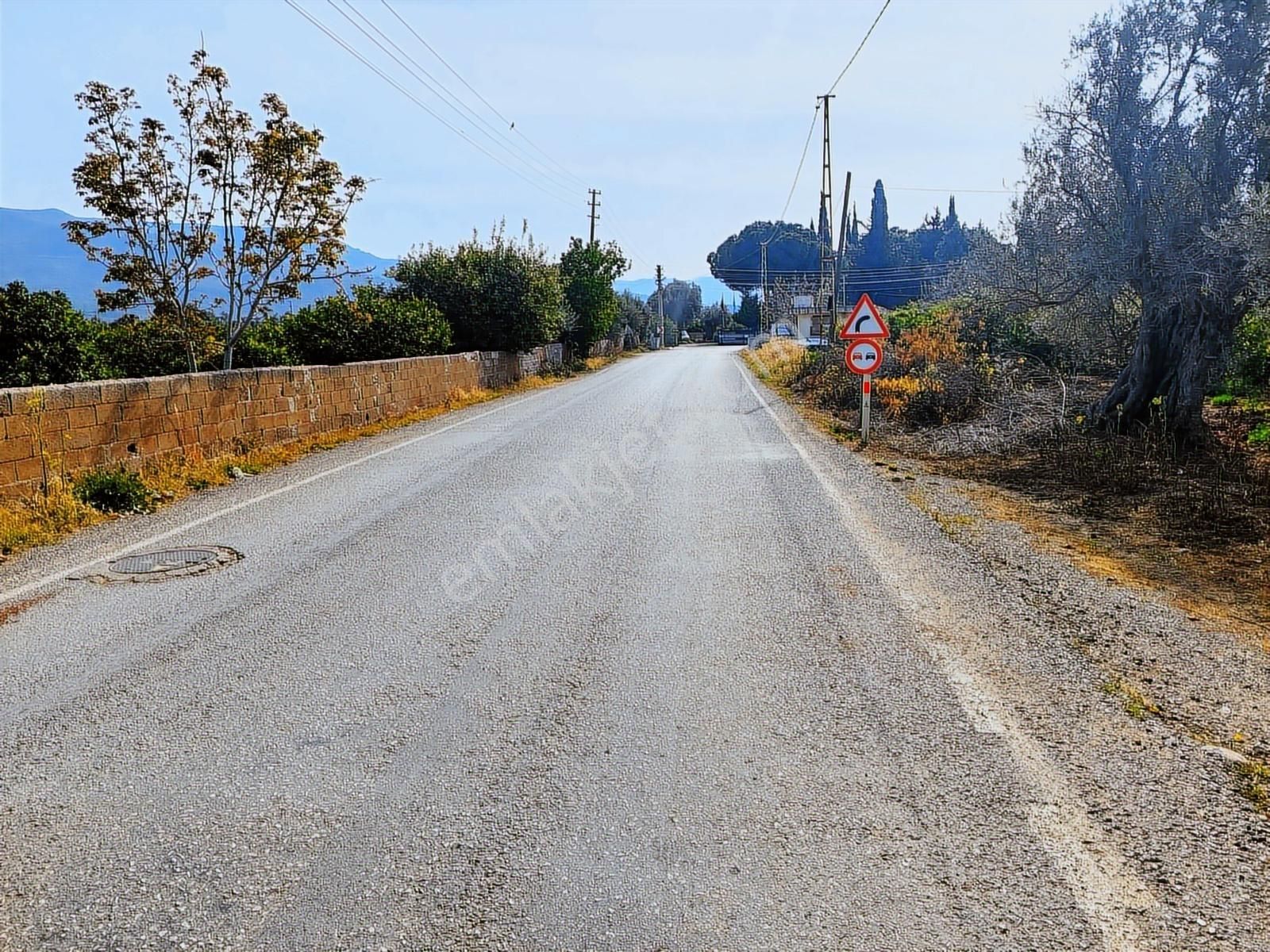İzmir Seferihisar Ürkmez De Acil Satılık Mandalin Bahçesi - Görsel 13