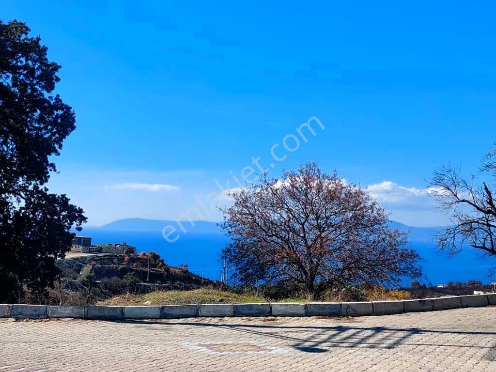 İzmir Seferihisar Doğanbey De Satılık 1220 M2 İmarlı Arsa - Görsel 7