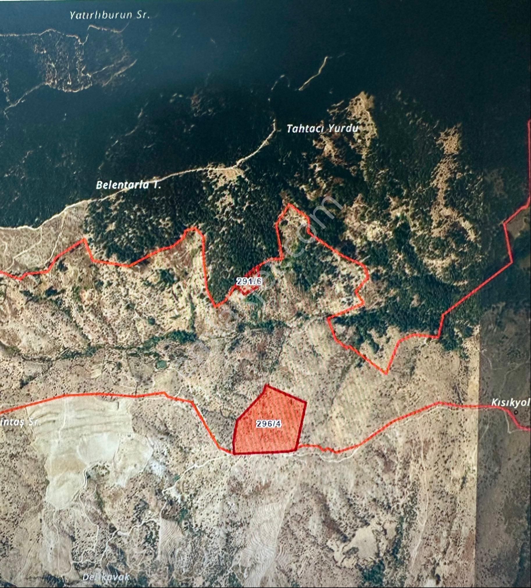 Aydın Karacasu’da 120.981m2 Tek Parça Satılık Yayla Arazisi - Görsel 6