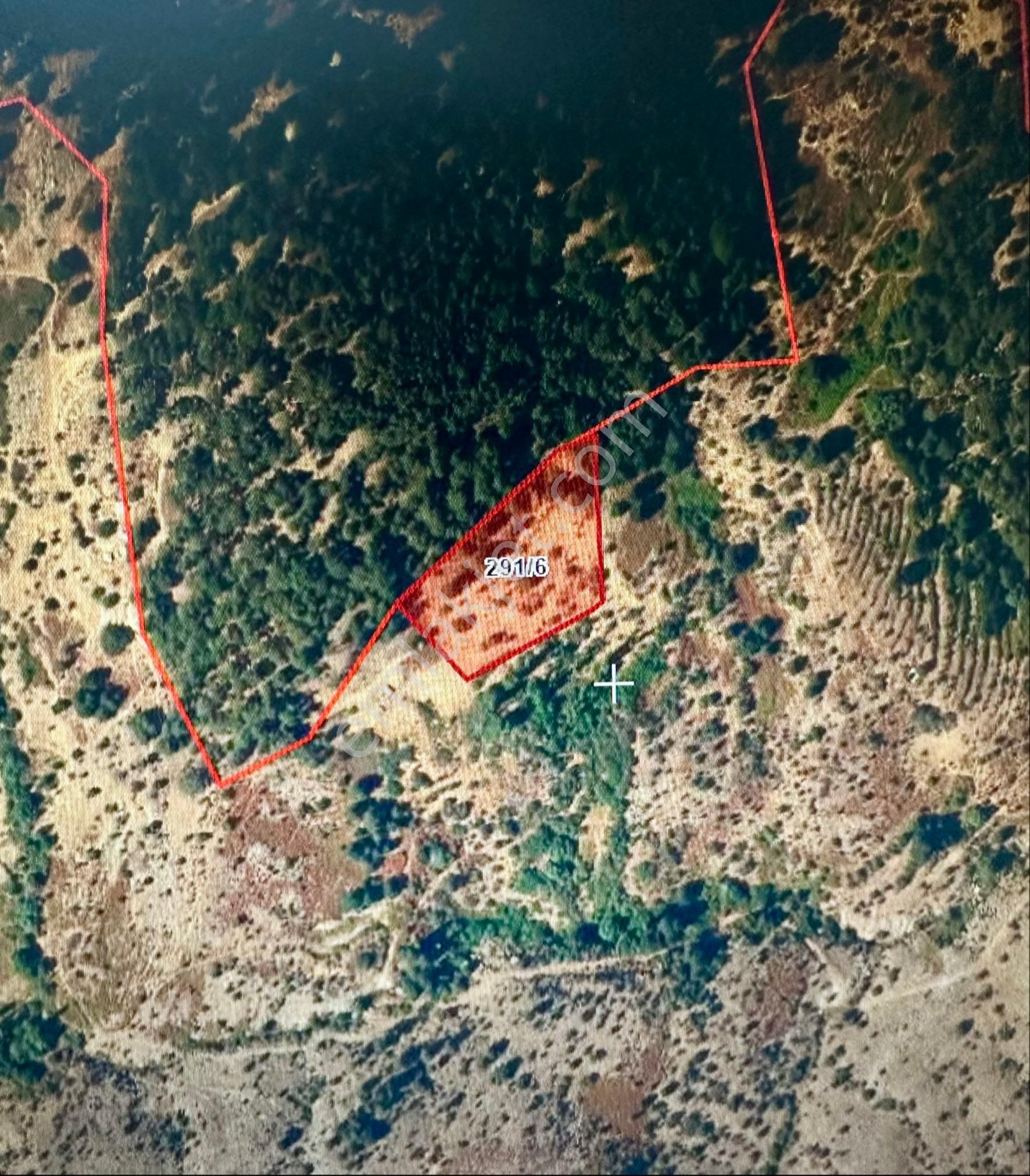 Aydın Karacasu’da 120.981m2 Tek Parça Satılık Yayla Arazisi - Görsel 5