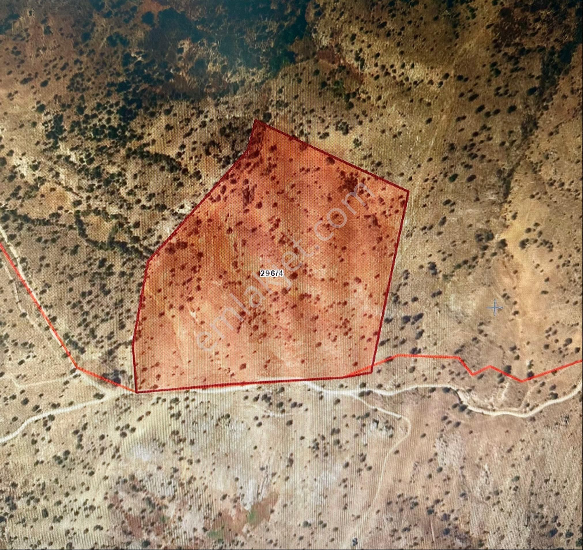 Aydın Karacasu’da 120.981m2 Tek Parça Satılık Yayla Arazisi