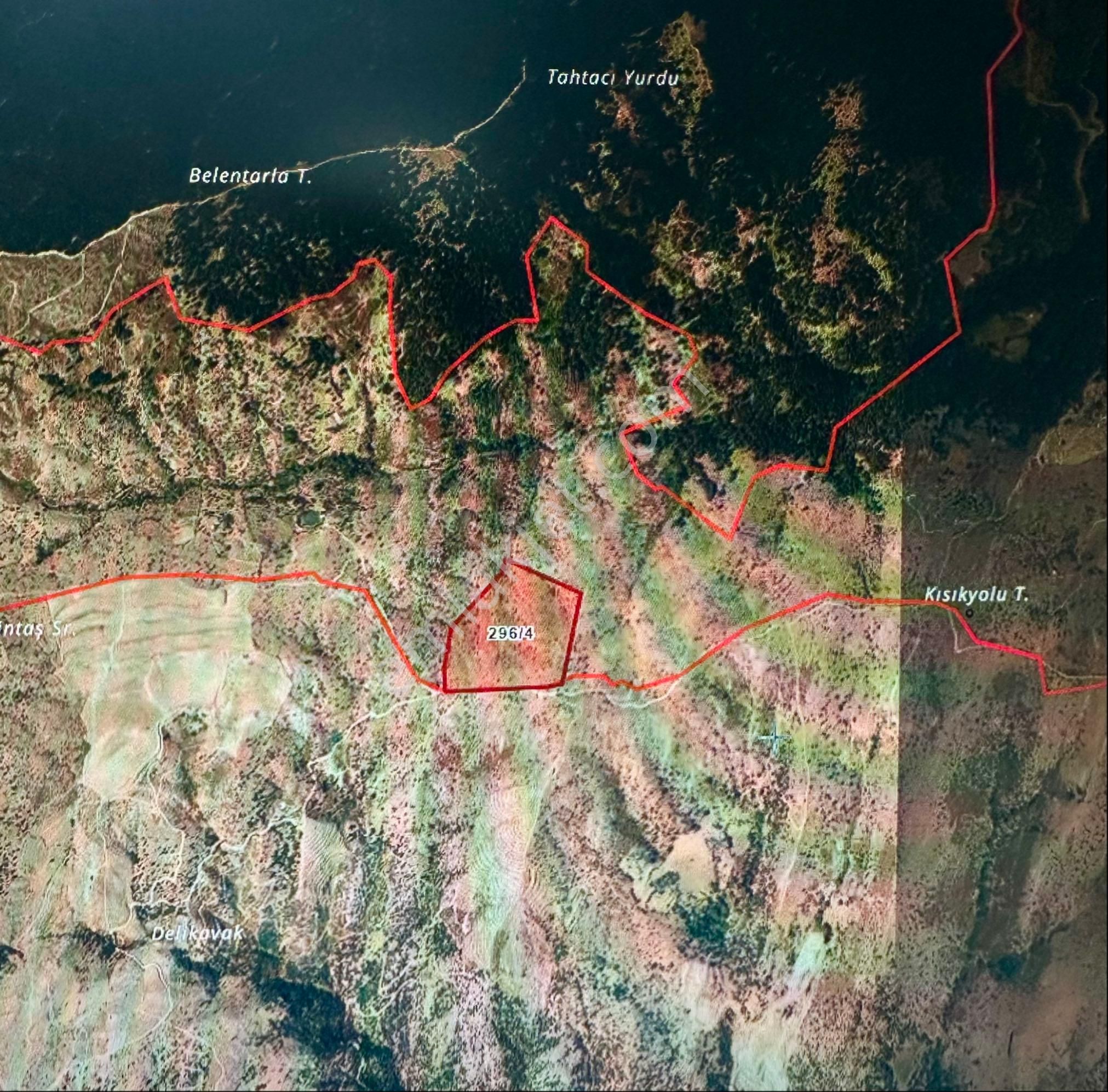 Aydın Karacasu’da 120.981m2 Tek Parça Satılık Yayla Arazisi - Görsel 2