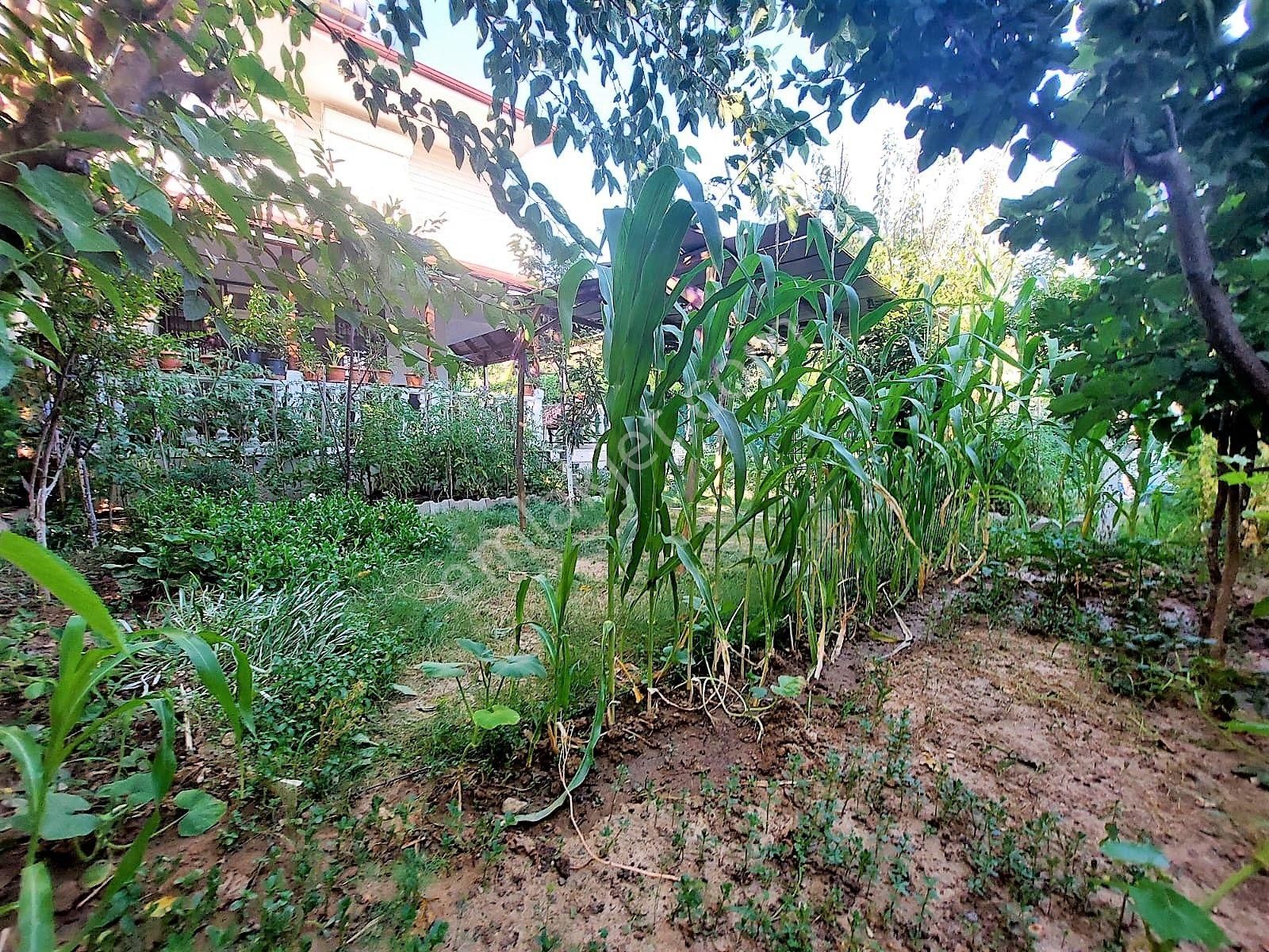 İzmi̇r Seferi̇hi̇sar Doğanbey Si̇te İçi̇nde Satılık Yazlık 3+1 - Görsel 18