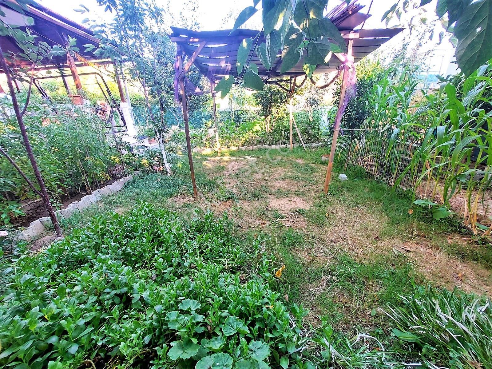 İzmi̇r Seferi̇hi̇sar Doğanbey Si̇te İçi̇nde Satılık Yazlık 3+1 - Görsel 19