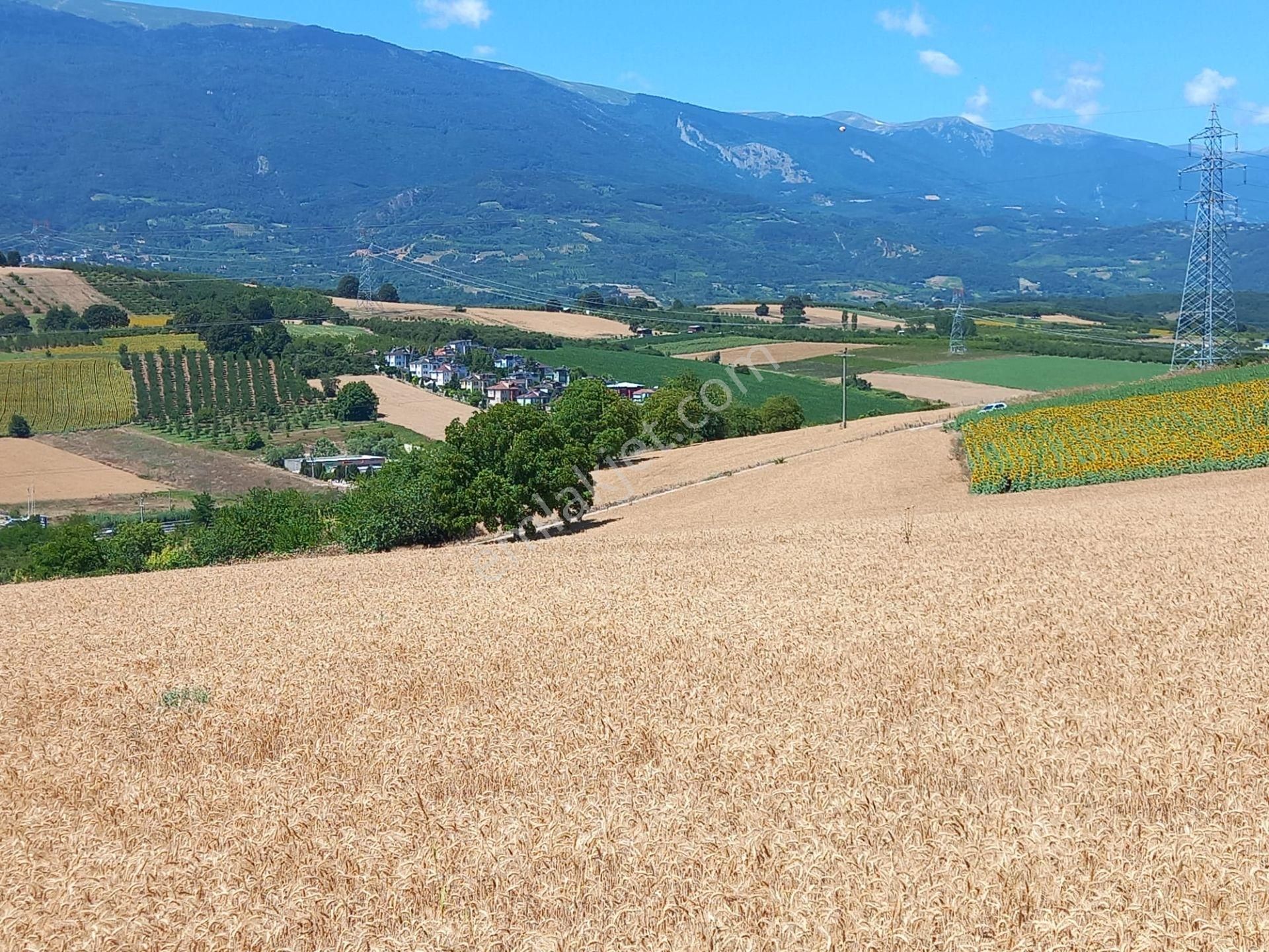 Roma' Dan Şehitler Mh' De Satılık Tarla - Görsel 11