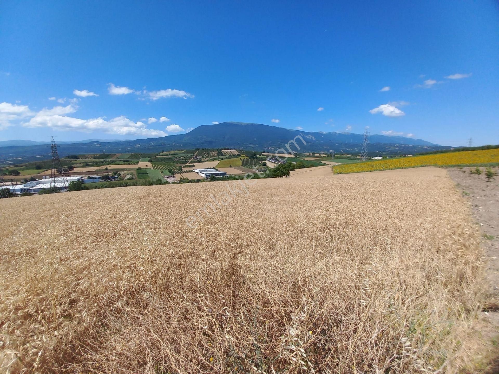 Roma' Dan Şehitler Mh' De Satılık Tarla - Görsel 15