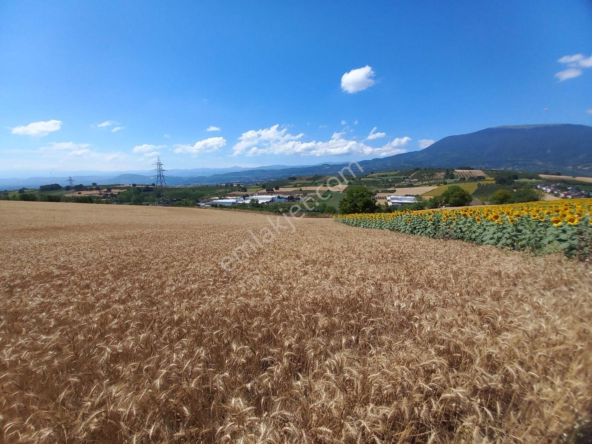 Roma' Dan Şehitler Mh' De Satılık Tarla - Görsel 18