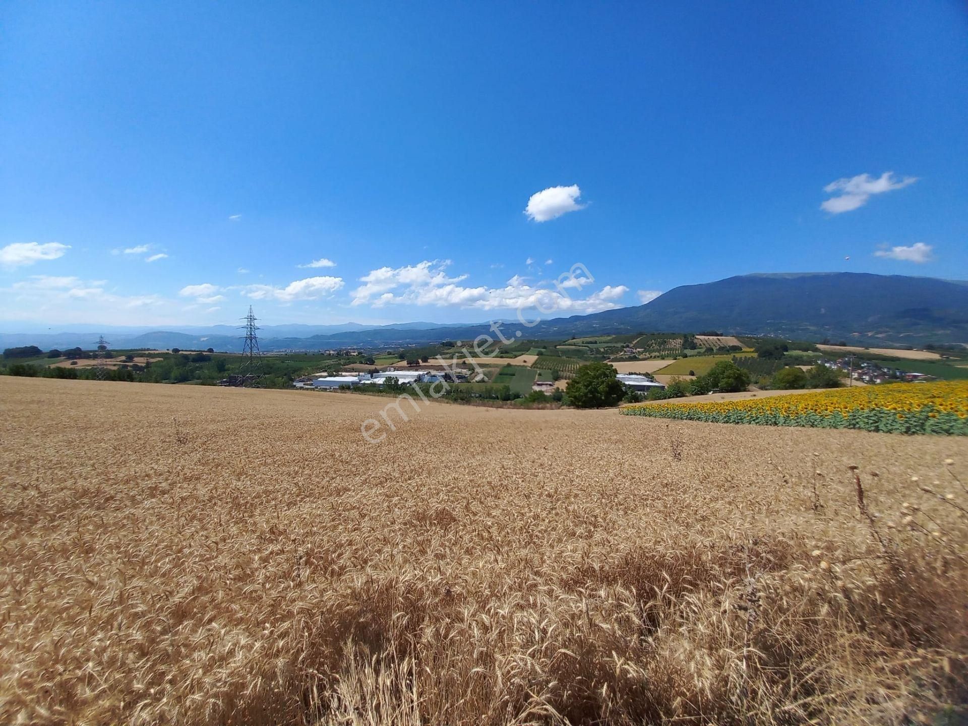 Roma' Dan Şehitler Mh' De Satılık Tarla - Görsel 17