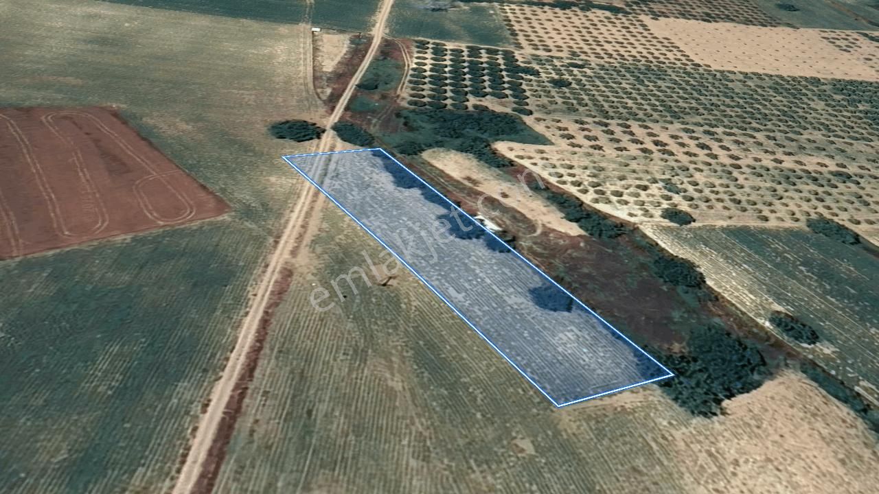 Roma' Dan Şehitler Mh' De Satılık Tarla