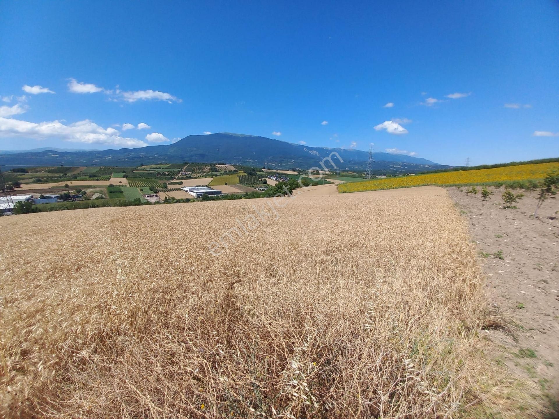 Roma' Dan Şehitler Mh' De Satılık Tarla - Görsel 14