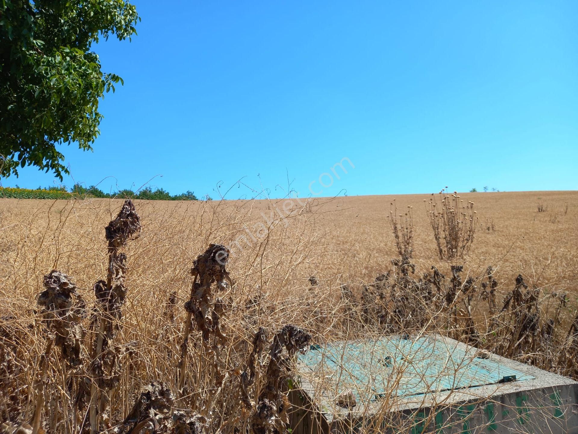Roma' Dan Şehitler Mh' De Satılık Tarla - Görsel 19