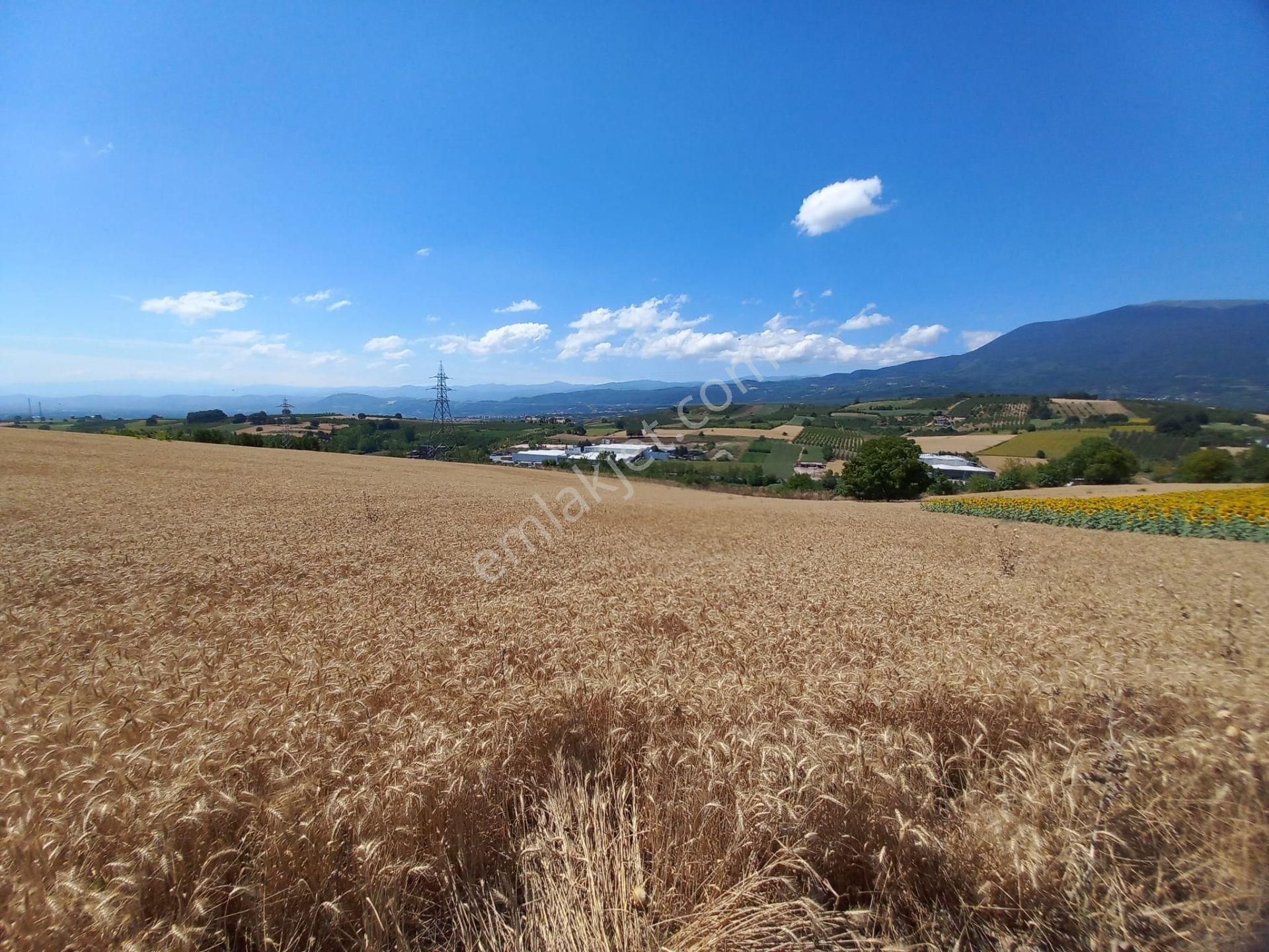 Roma' Dan Şehitler Mh' De Satılık Tarla - Görsel 16