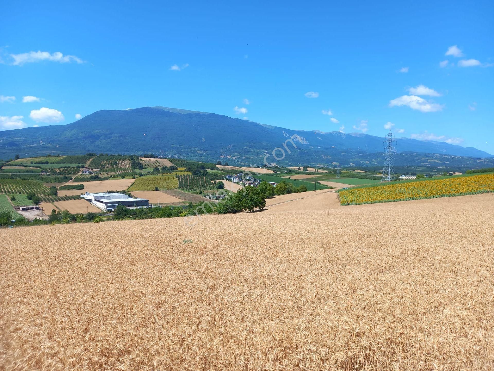 Roma' Dan Şehitler Mh' De Satılık Tarla - Görsel 12
