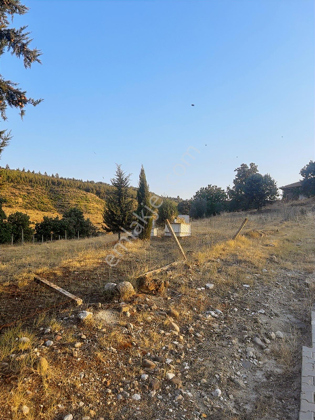 Manisa Köprübaşı Yenice Mh 67750 M2 Arazi - Görsel 8