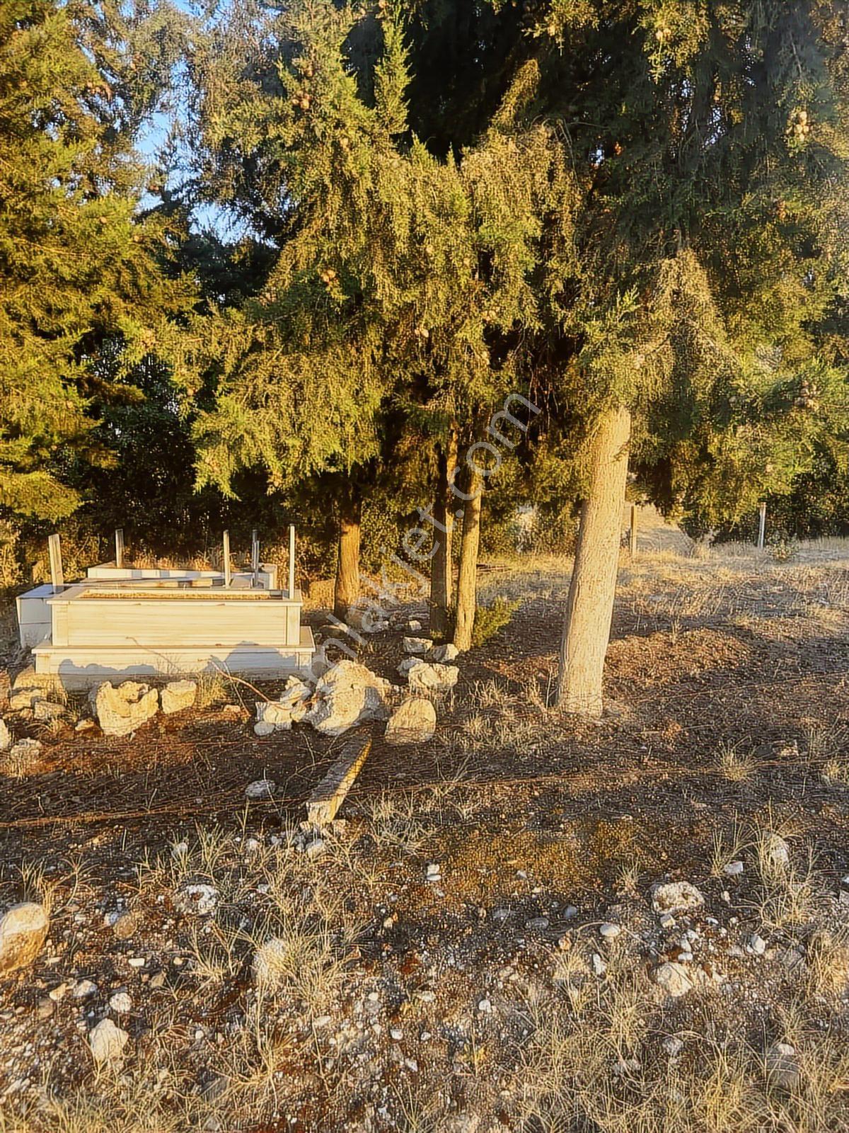 Manisa Köprübaşı Yenice Mh 67750 M2 Arazi - Görsel 3