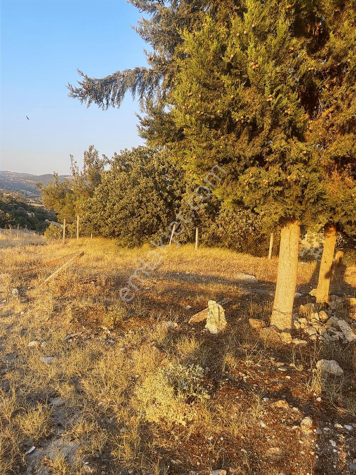 Manisa Köprübaşı Yenice Mh 67750 M2 Arazi - Görsel 4
