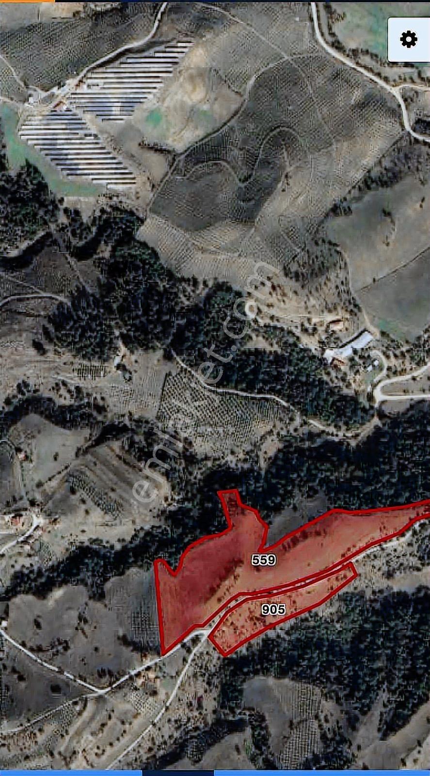 Manisa Köprübaşı Yenice Mh 67750 M2 Arazi