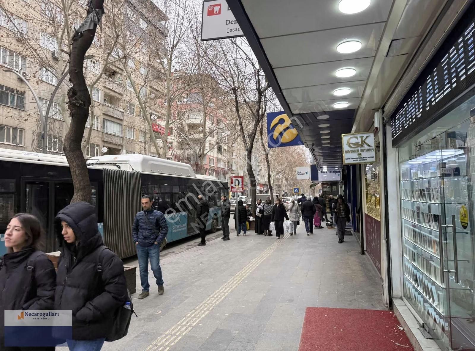 Necaroğullarından Ofis Gevran Çad Uygun 3+1 - Görsel 15