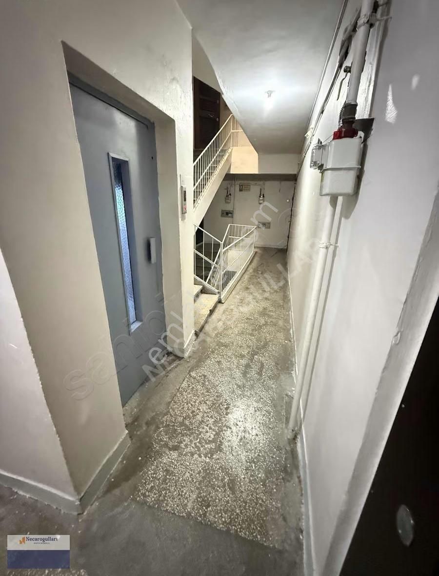 Necaroğullarından Ofis Gevran Çad Uygun 3+1 - Görsel 11