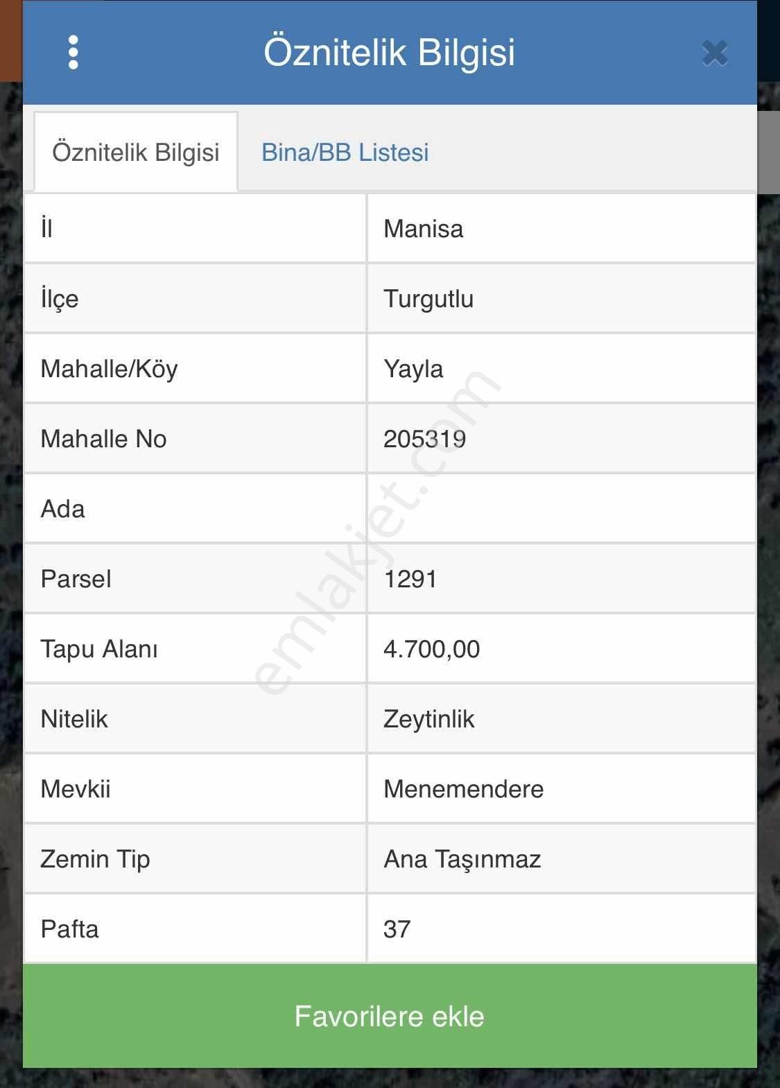 Nova'dan Yayla'da Satılık Zeytinlik