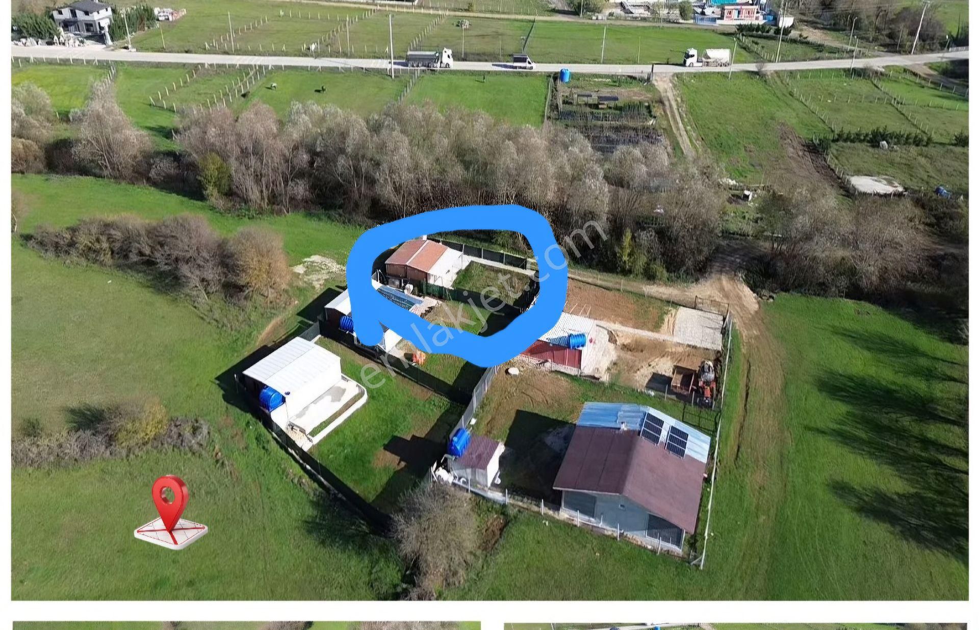 Binkılıç Da Satılık 300m2 Hisseli Tarla - Görsel 2