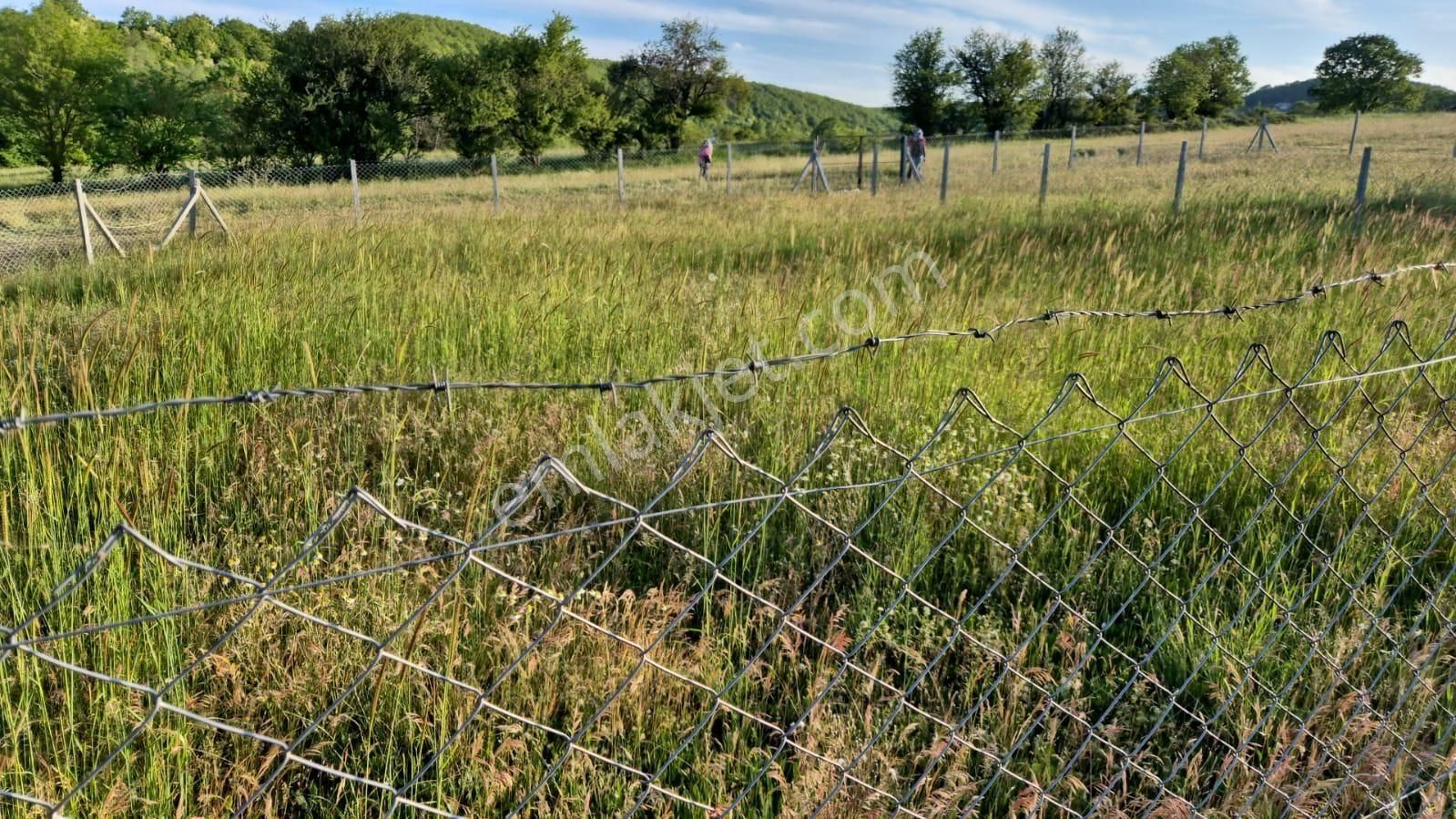 Binkılıç Da Satılık 300m2 Hisseli Tarla - Görsel 6