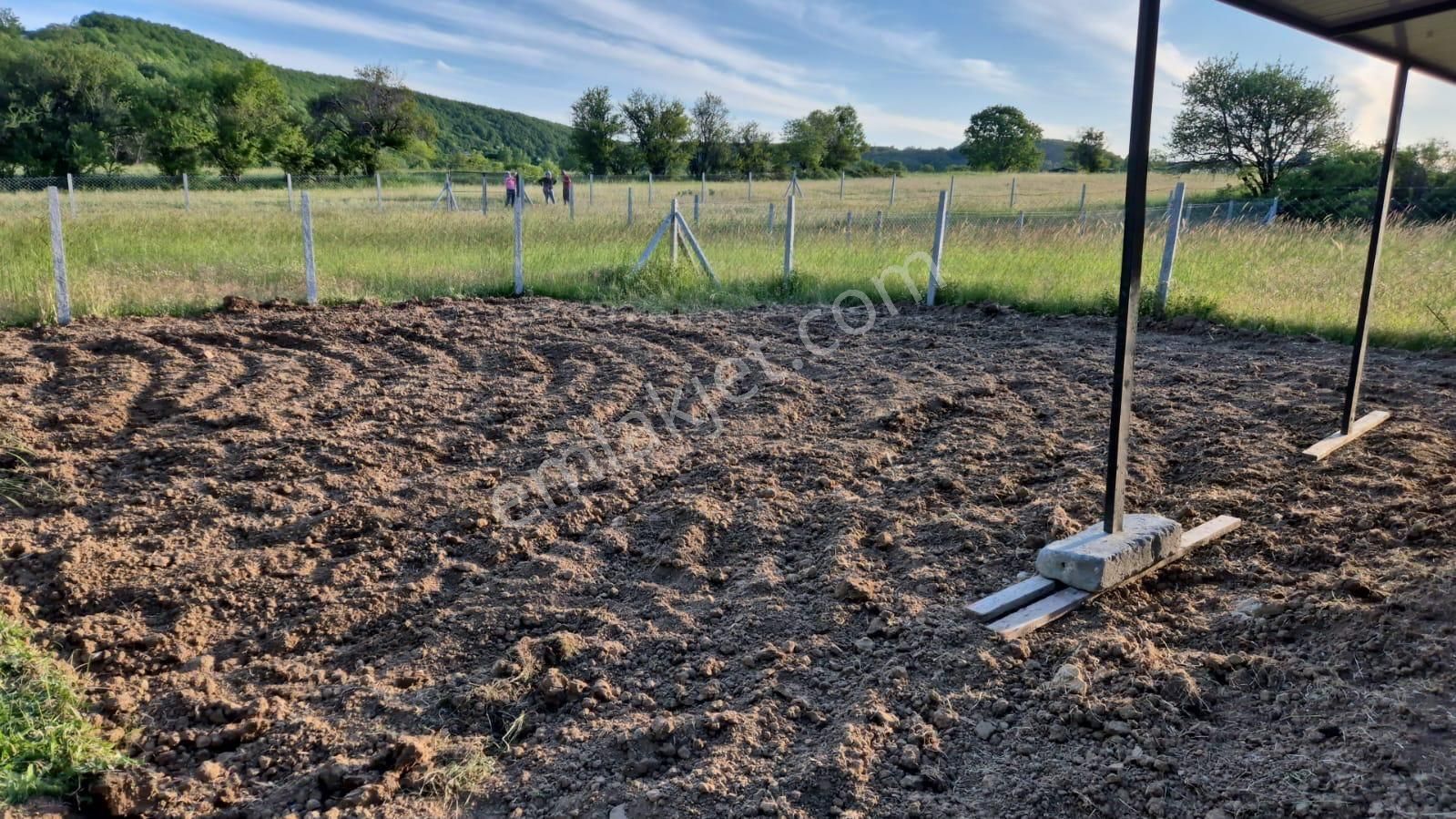 Binkılıç Da Satılık 300m2 Hisseli Tarla - Görsel 7