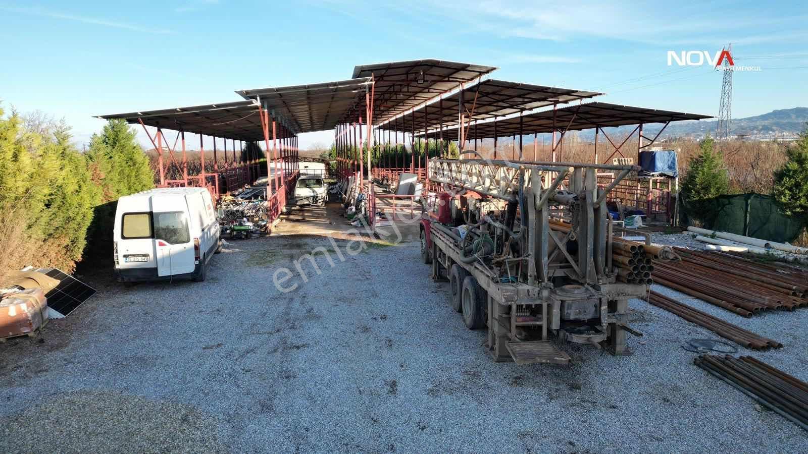 Nova'dan Bostanlık Mevkiinde Satılık Besi Damı & Meyve Bahçesi - Görsel 3