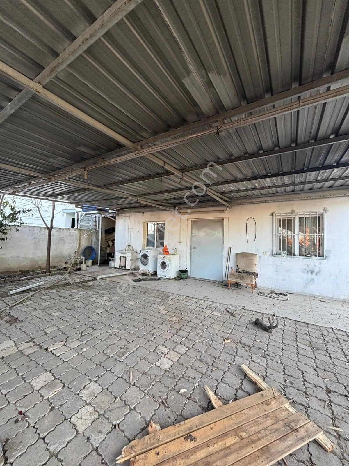 Nova'dan Bostanlık Mevkiinde Satılık Besi Damı & Meyve Bahçesi - Görsel 21