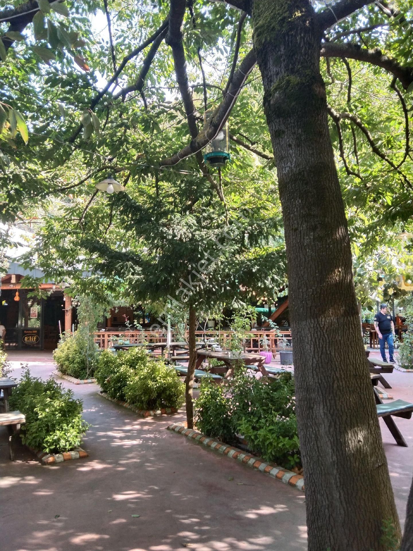 "sahibinden"radyal Temel"sıfır Tadilat.eşyalı.son Fiyat - Görsel 2