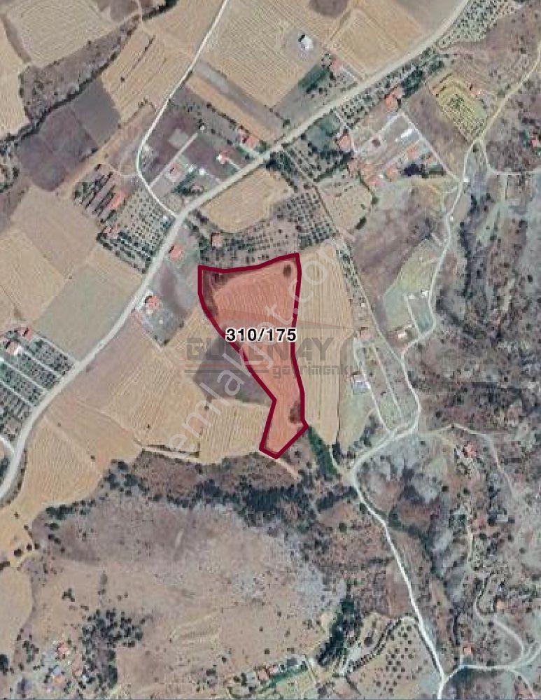 Güvenay - Çorum Ted İlerisi Büğet Yolu 23 Dönüm Satılık Tarla - Görsel 2