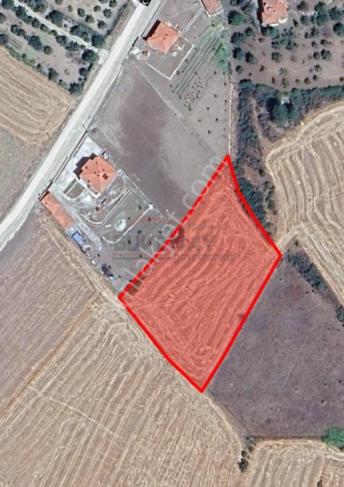 Güvenay - Çorum Ted İlerisi Büğet Yolu 23 Dönüm Satılık Tarla - Görsel 4