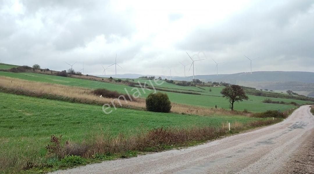 Bursa, Karacabey Çamlıca Mahallesi'nde Satılık4 Dönüm 560 Parsel