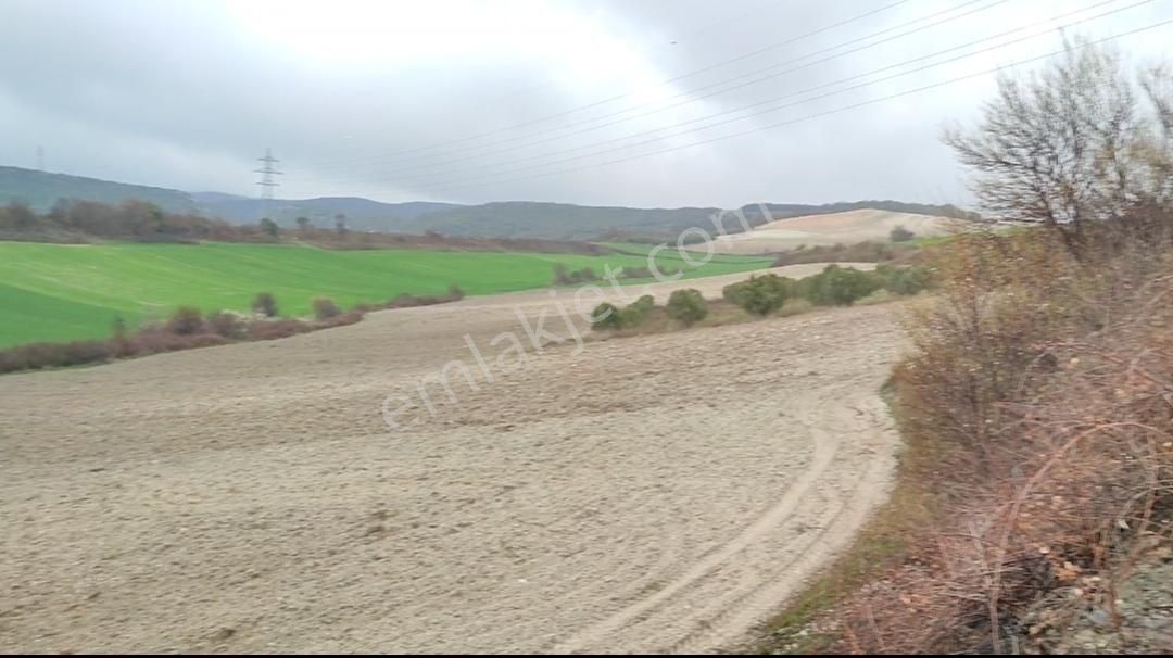 Bursa, Karacabey Çamlıca Mahallesi'nde Satılık4 Dönüm 560 Parsel - Görsel 3