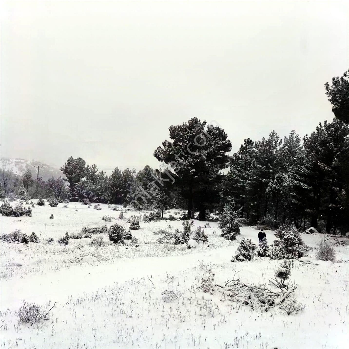 Kar Emlaktan Gökbez Yaylasında 10 Dönüm Satılık Tarla - Görsel 2