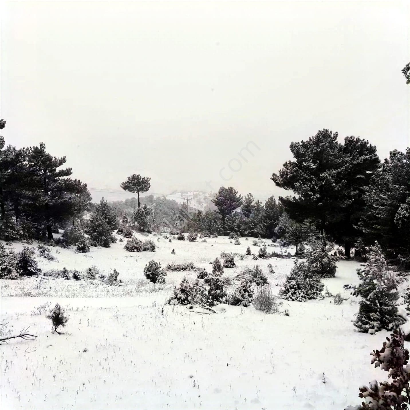Kar Emlaktan Gökbez Yaylasında 10 Dönüm Satılık Tarla - Görsel 26