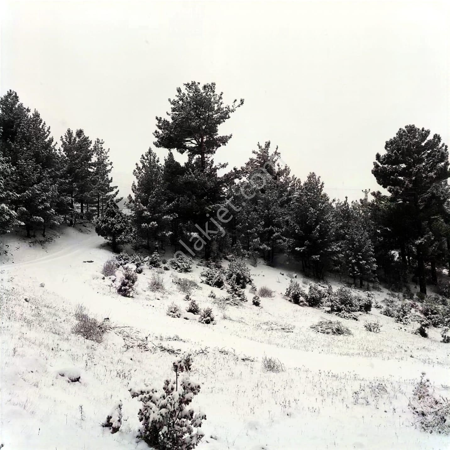 Kar Emlaktan Gökbez Yaylasında 10 Dönüm Satılık Tarla - Görsel 6