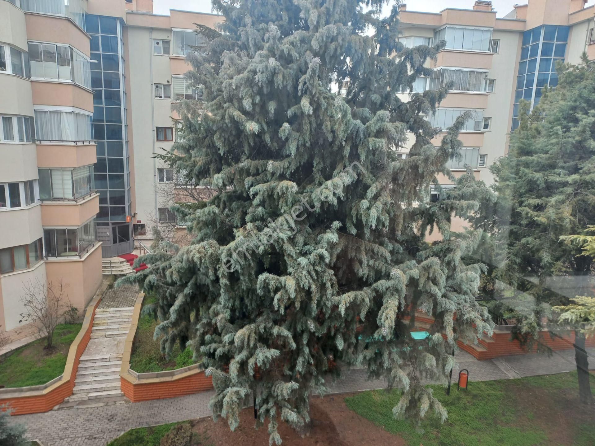 Çıtırık Tan Eryaman Güzelkent Mah.3+1kiralık Daire - Görsel 2