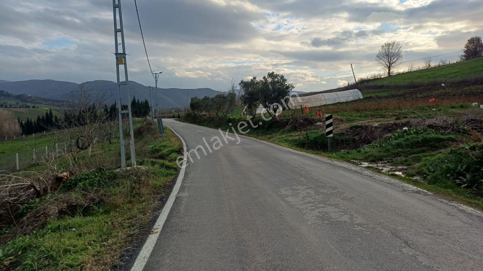 Kocaeli Karamürsel Hayriye Satılık Tarla 9956 M2 - Görsel 5