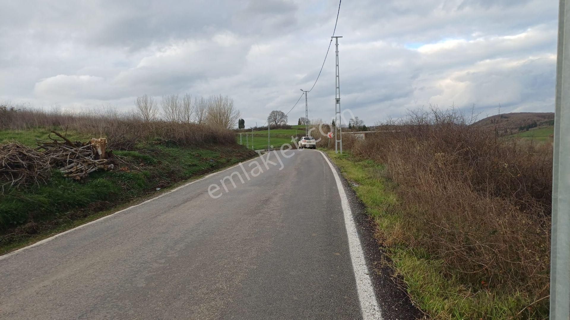 Kocaeli Karamürsel Hayriye Satılık Tarla 9956 M2 - Görsel 2