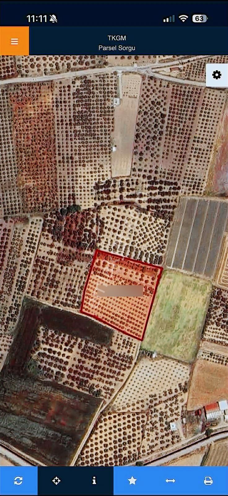 Foça Gerenköy'de 424 M2 Paylı Mülkiyeti Yapılmış Zeytinlik Bahçe - Görsel 4