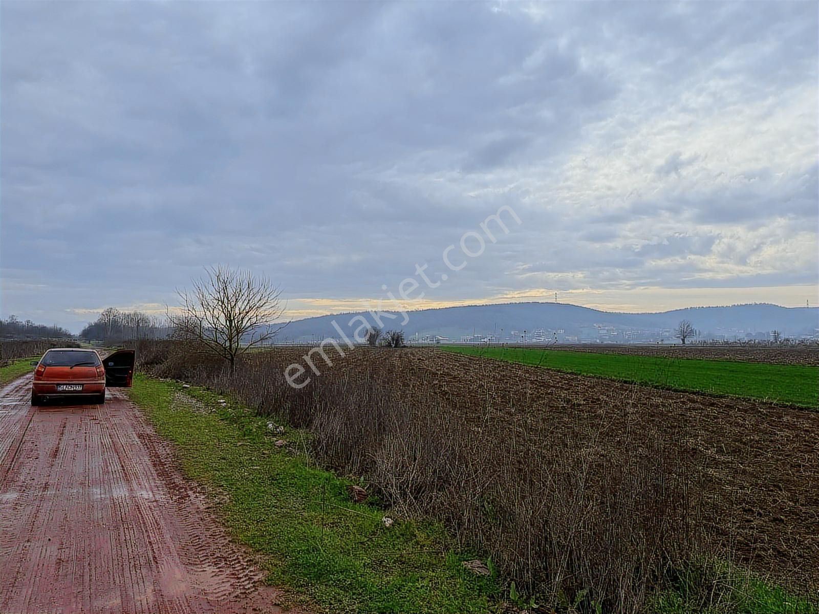 Söğütlü Kurudilde 1.064 M² Değerli Tarla Kaçmaz Fırsat