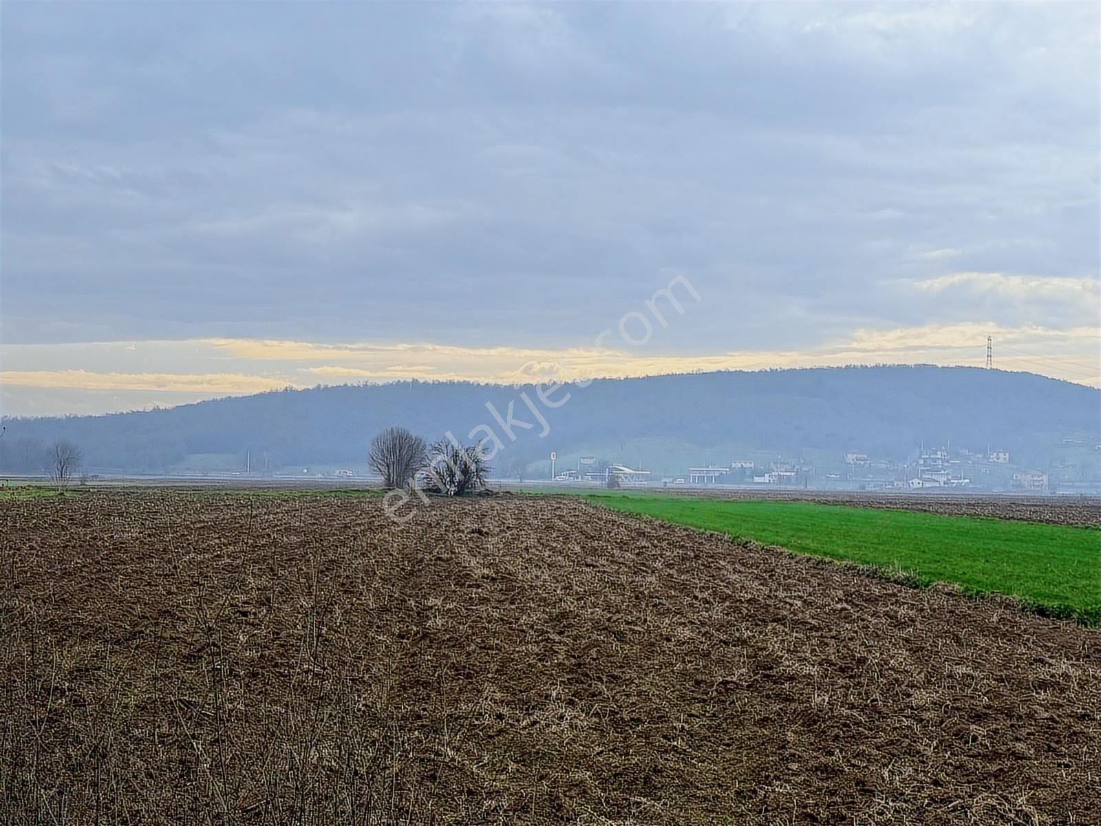 Söğütlü Kurudilde 1.064 M² Değerli Tarla Kaçmaz Fırsat - Görsel 10