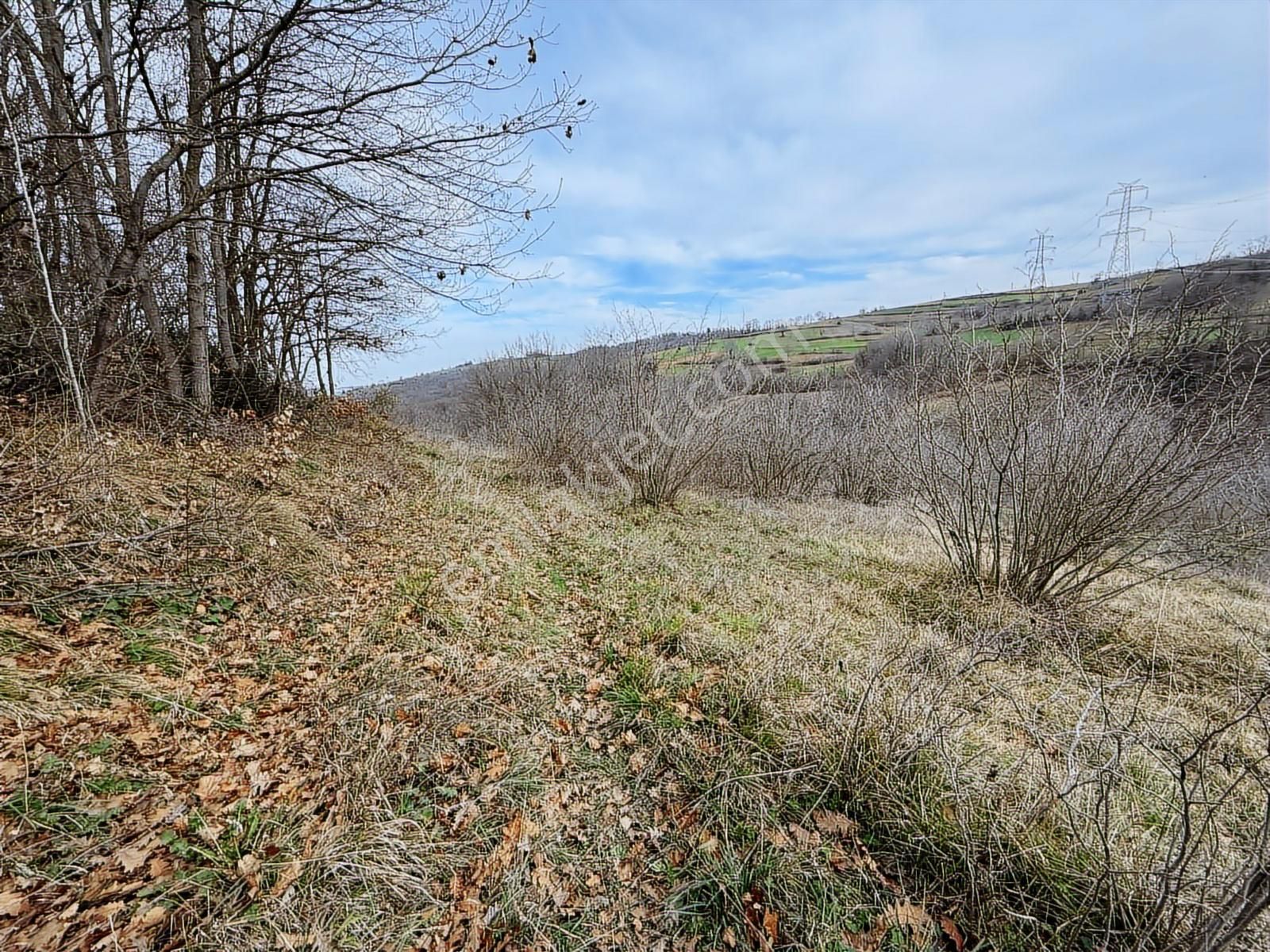 Kaynarca Şeyhtımarı'nda 1960m2 Fırsat Tarla - Görsel 12