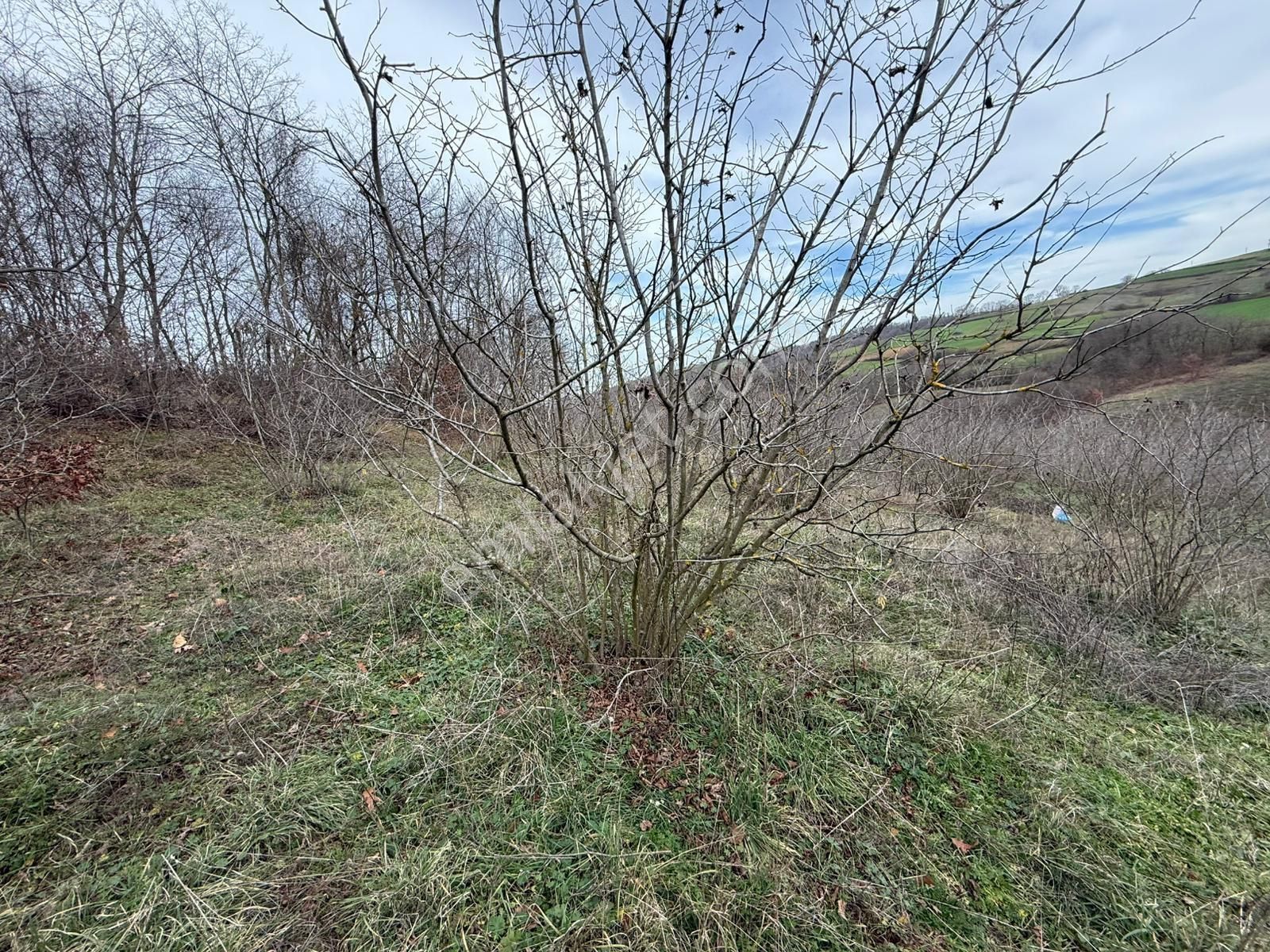 Kaynarca Şeyhtımarı'nda 1960m2 Fırsat Tarla - Görsel 25