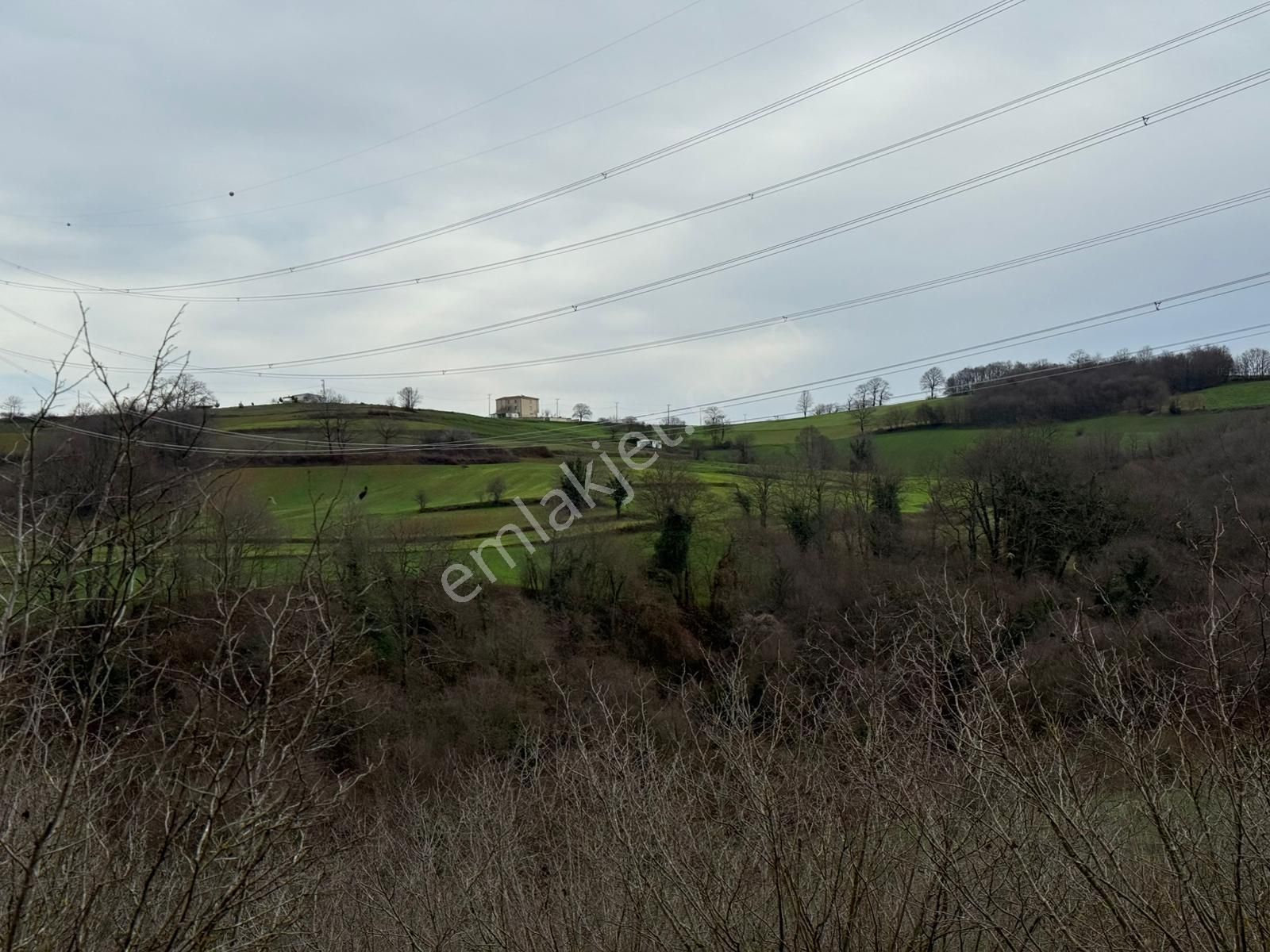 Kaynarca Şeyhtımarı'nda 1960m2 Fırsat Tarla - Görsel 3