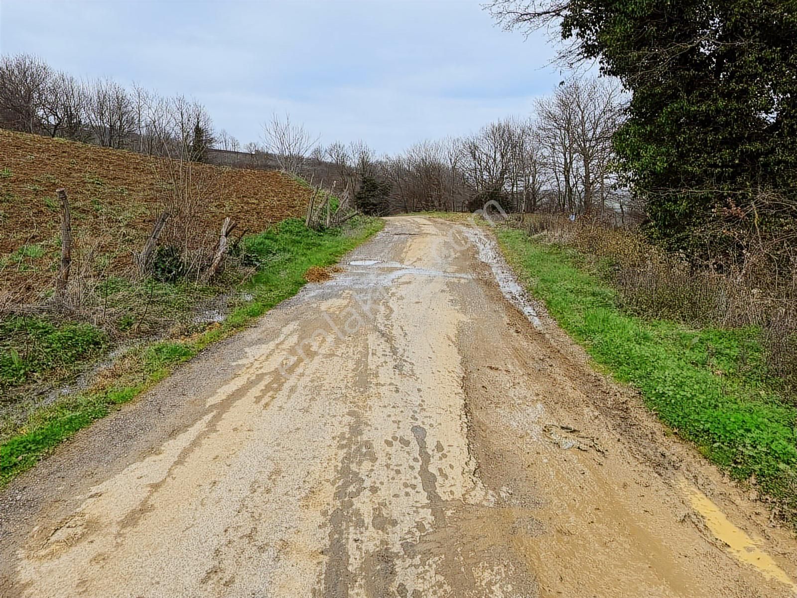 Kaynarca Şeyhtımarı'nda 1960m2 Fırsat Tarla - Görsel 8